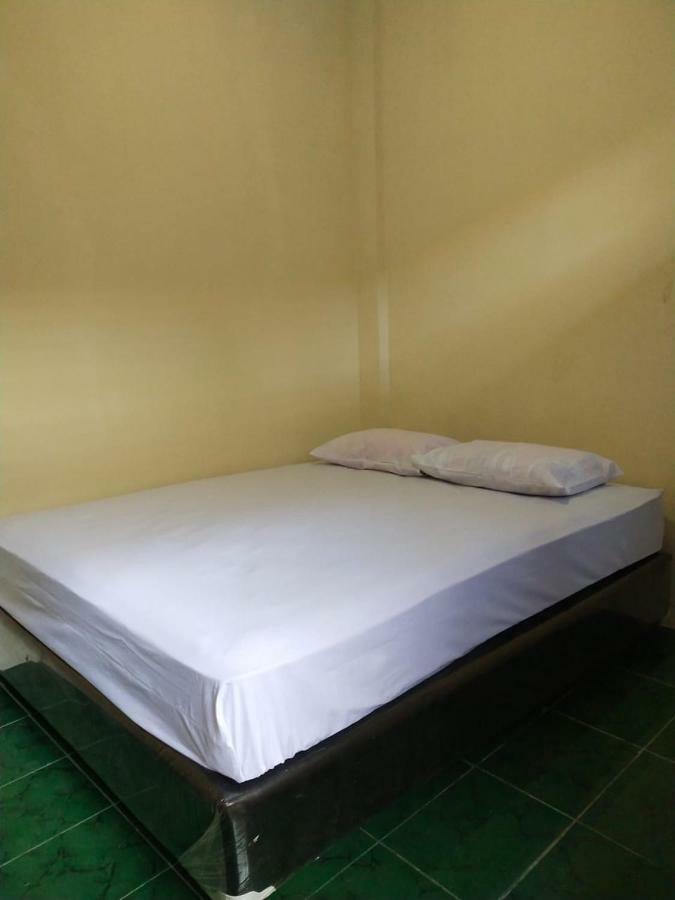 Thalia Guesthouse Ijen - Bromo & Sukamade Tour Banyuwangi  Exterior foto